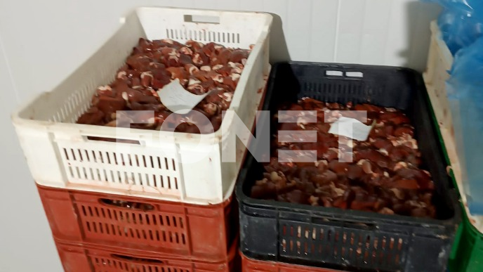 Promet mesa sa salmonelom